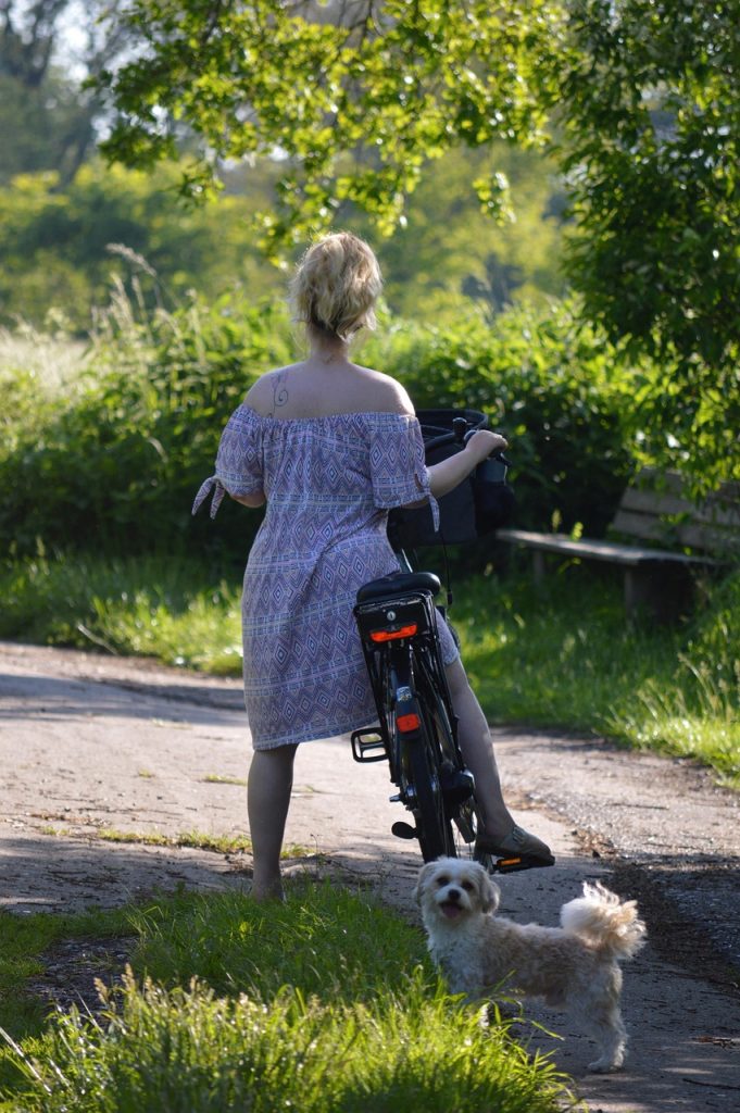 woman, cycle, outdoors, girl, pet, dog, bicycle, cycling tour, summer, landscape, nature, blond woman, female, feminine, lifestyle, femininity, model, pleasure, leisure time, animal, quiet, serenity, time out